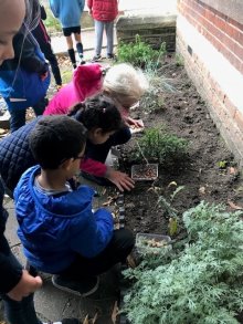 Year 3 Bulb Planting 2017