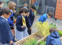 Eco-Committee looks at sustainability 